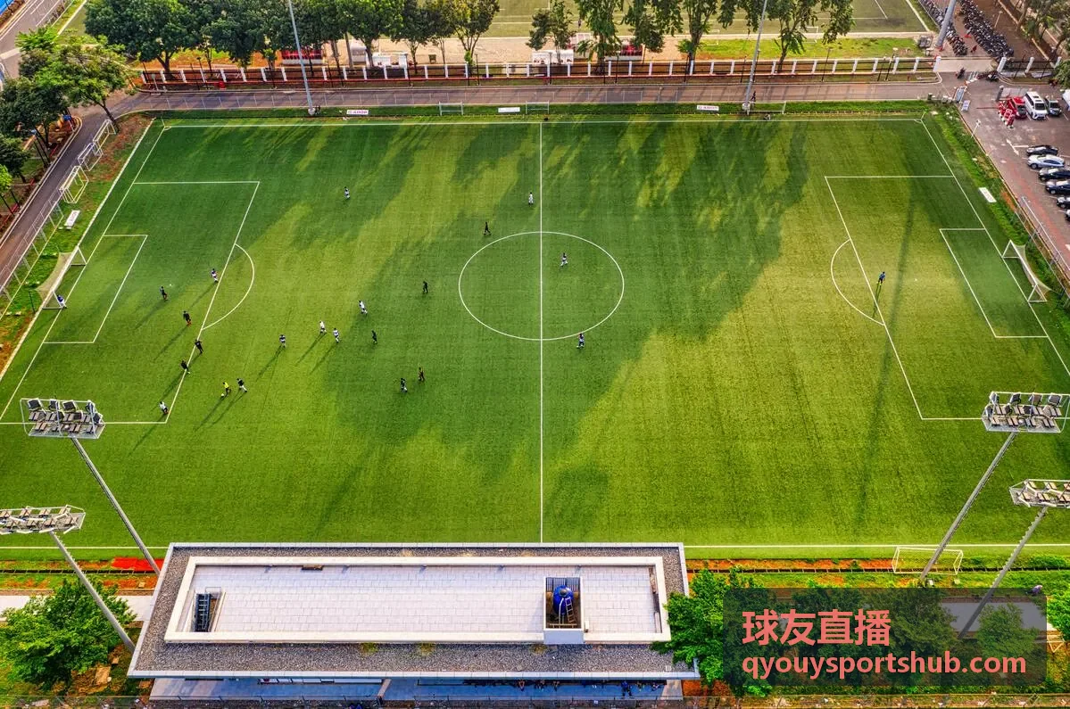 球友直播高清画质体验